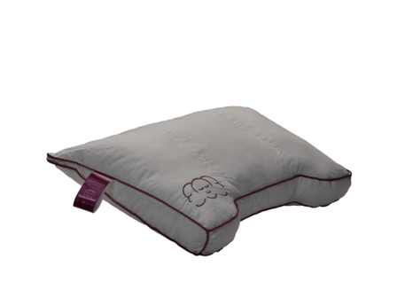 Silvana travel Pillow paars reiskussen