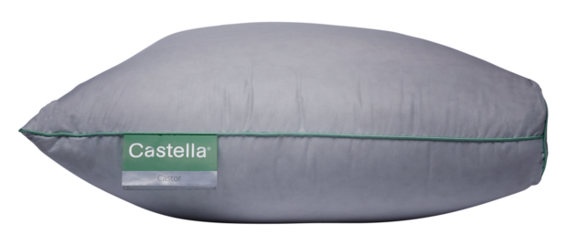 Zijkant Castor kussen