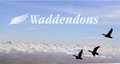 Waddendons